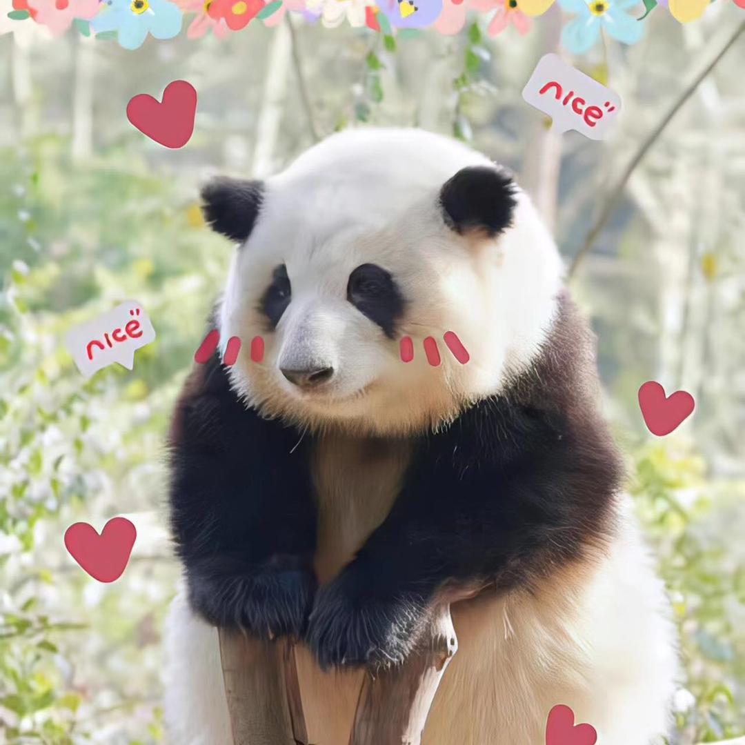 大嘴今天吃什么