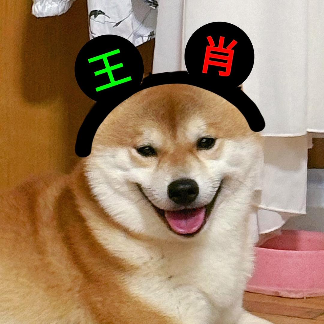 小杰悄悄头像