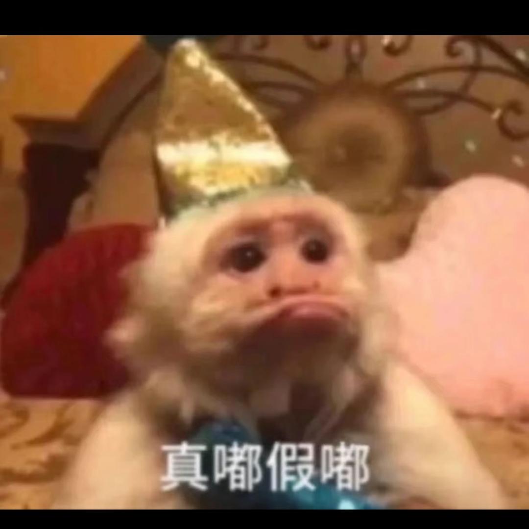 小狗爱吃肉