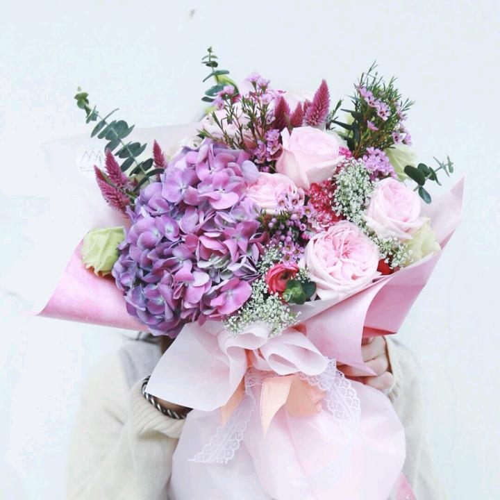 丹（都市王朝）