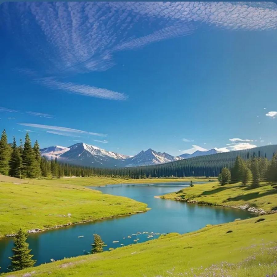 ୧⍤⃝勇往直前🫧