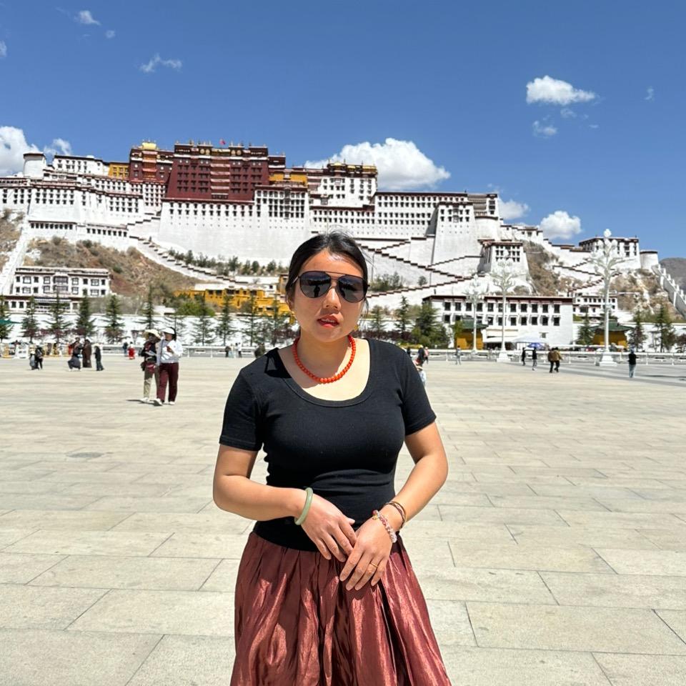 杨七七家外甥阳阳号（七七聊天局）