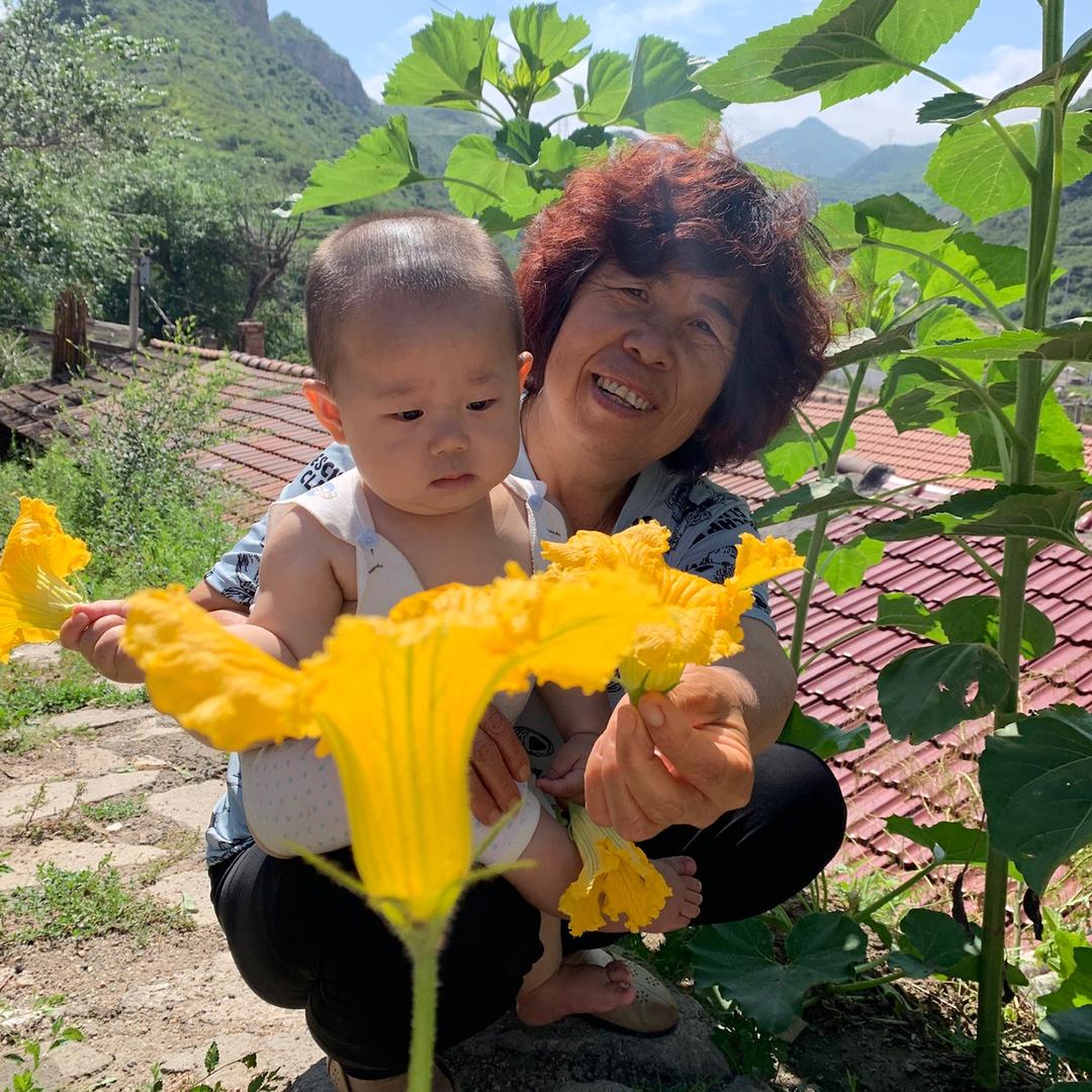 爱美食的刘妈