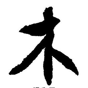 木木探历史