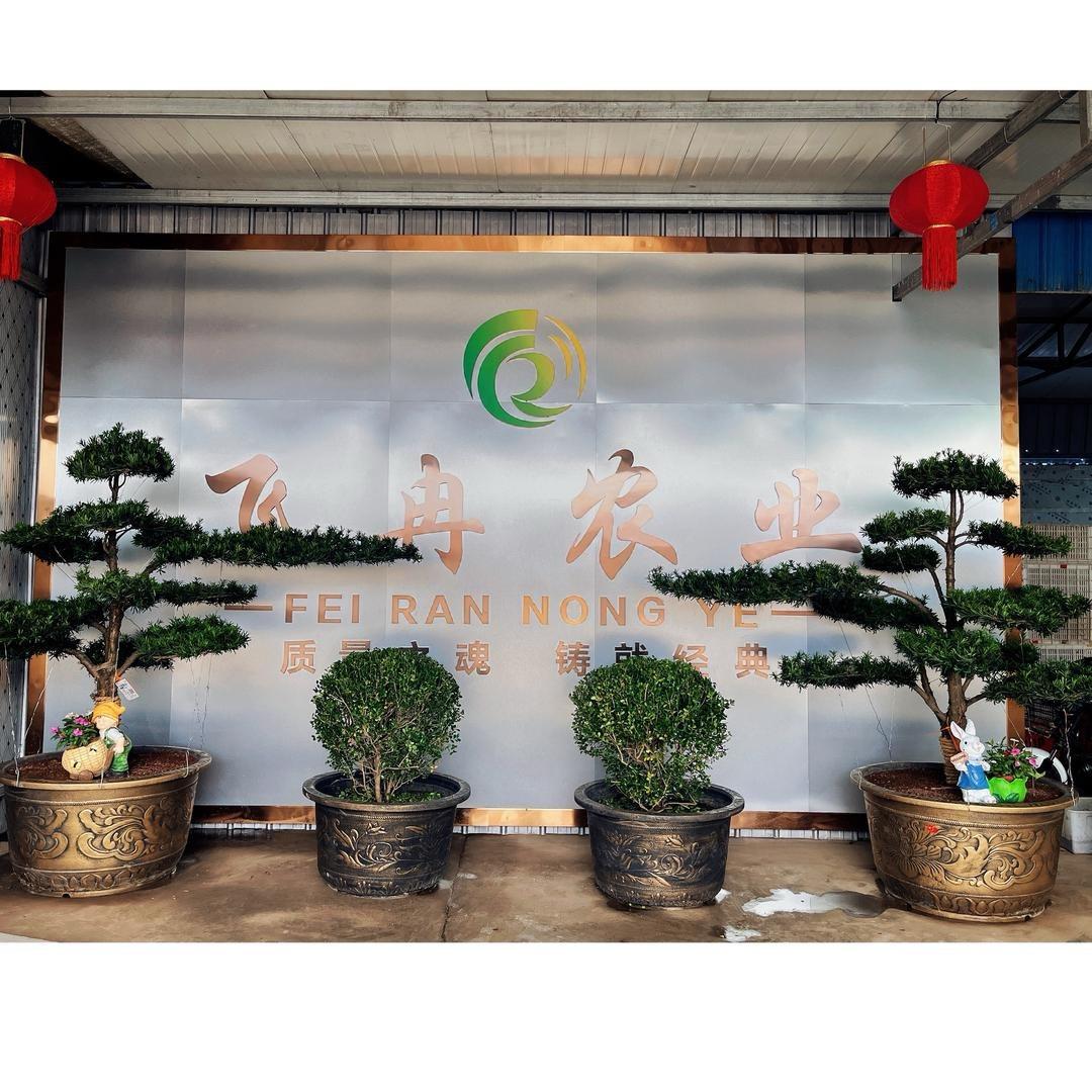 豫北飞冉农业优品小铺