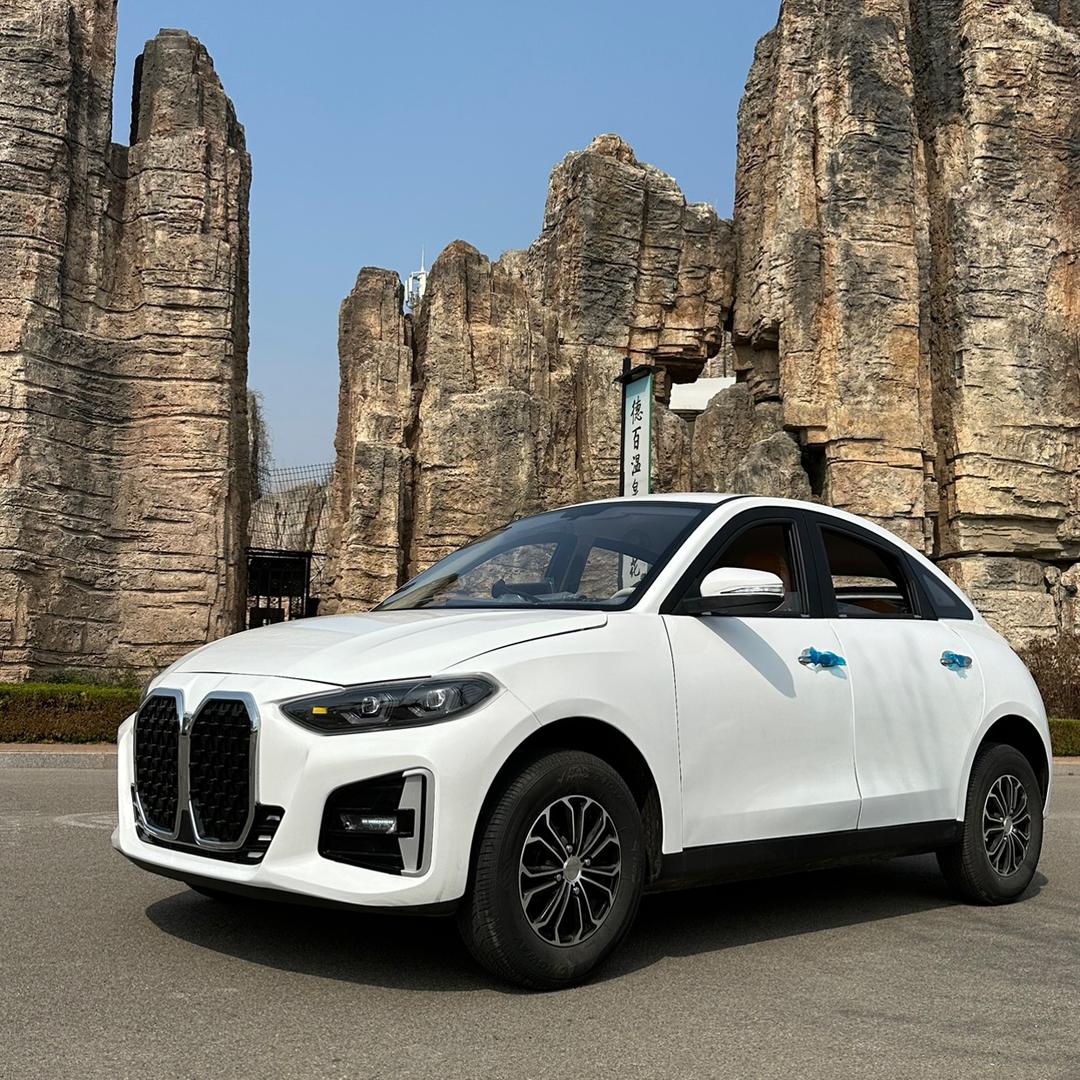 新能源代步车丁经理