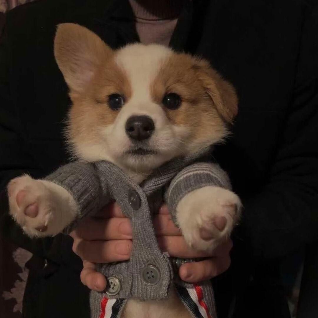 凡几゛（吃丹修仙）