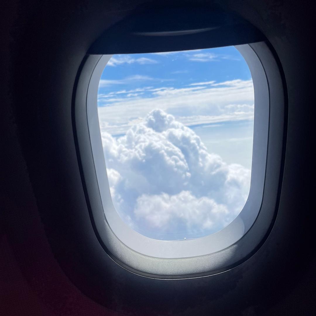 胖哈哈哈的小团子