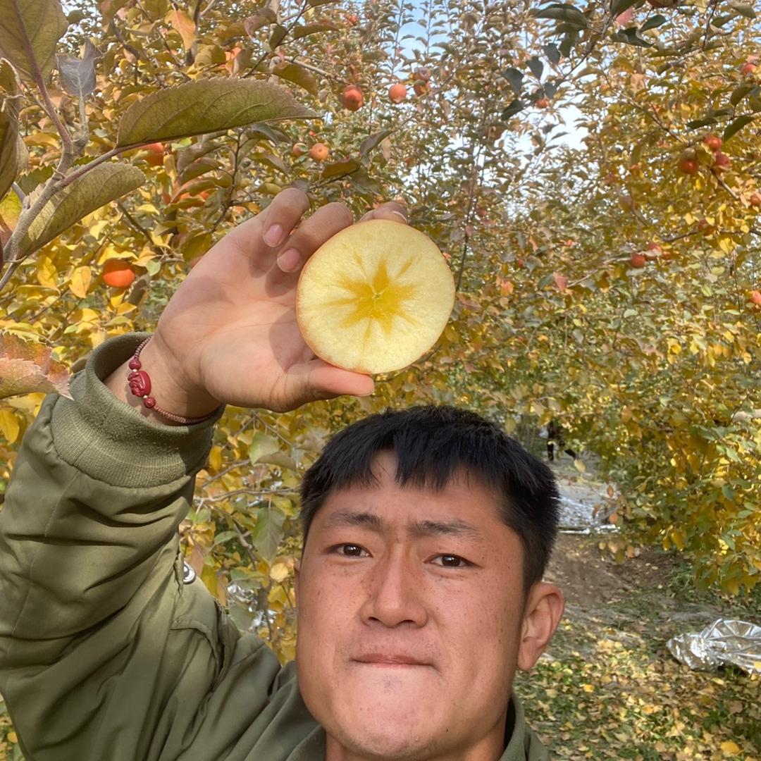 阿龙爱吃冰糖心