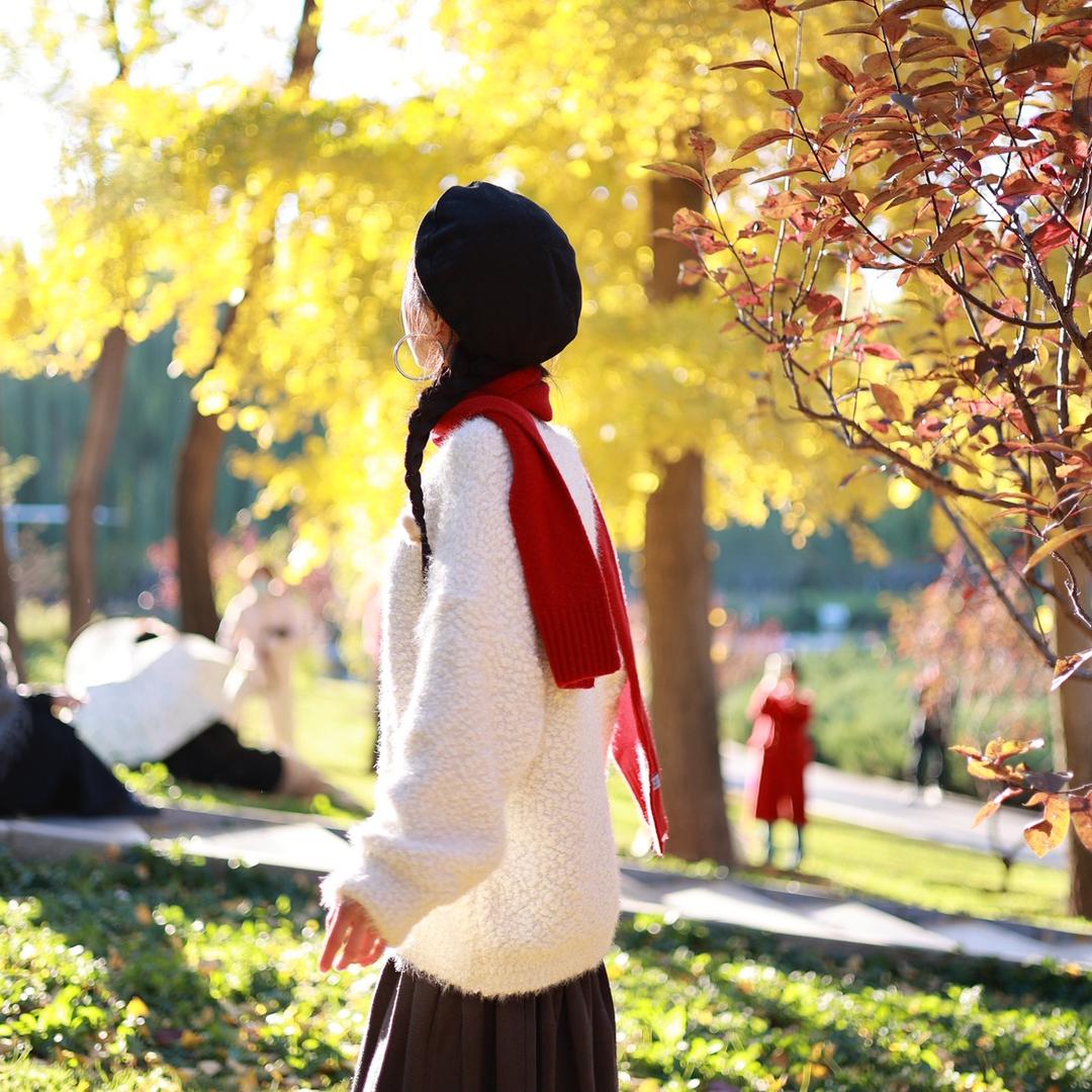 不再躺平的小丸子(创业中)