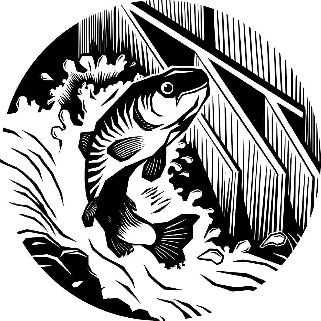 海记原木烤鱼