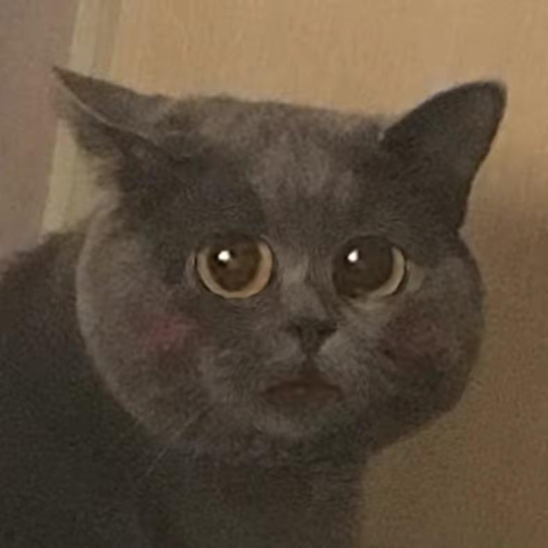 大奔哥