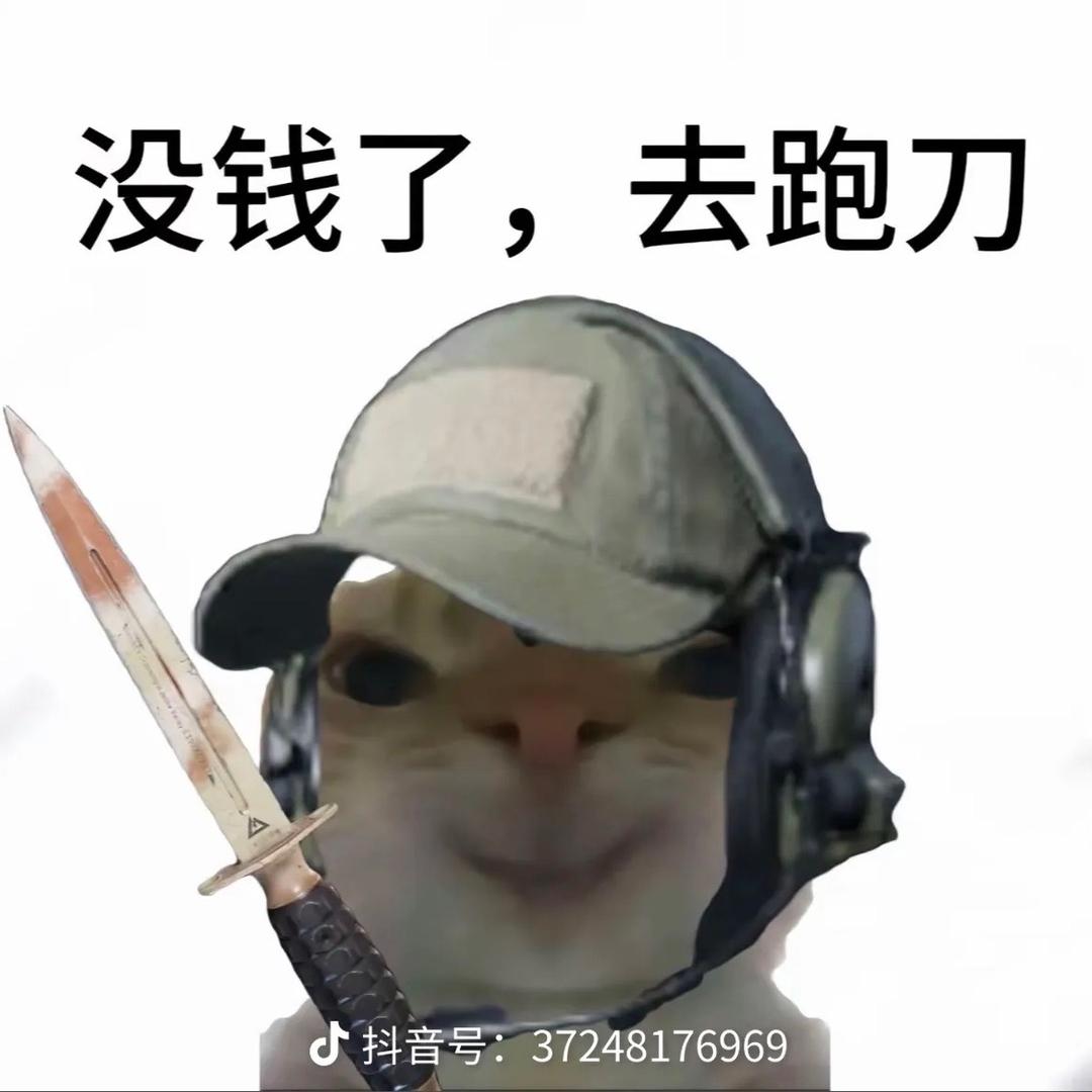 鼠小鼠（三角洲行动）