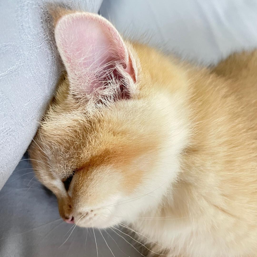 许红豆的外甥女🔔