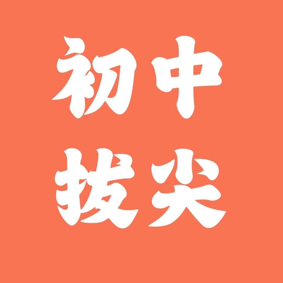 初二拔尖资料