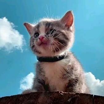 微笑爸爸（育儿日常）