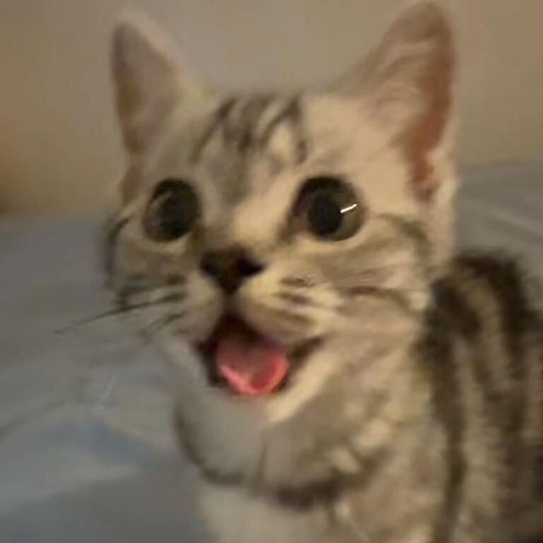 吃