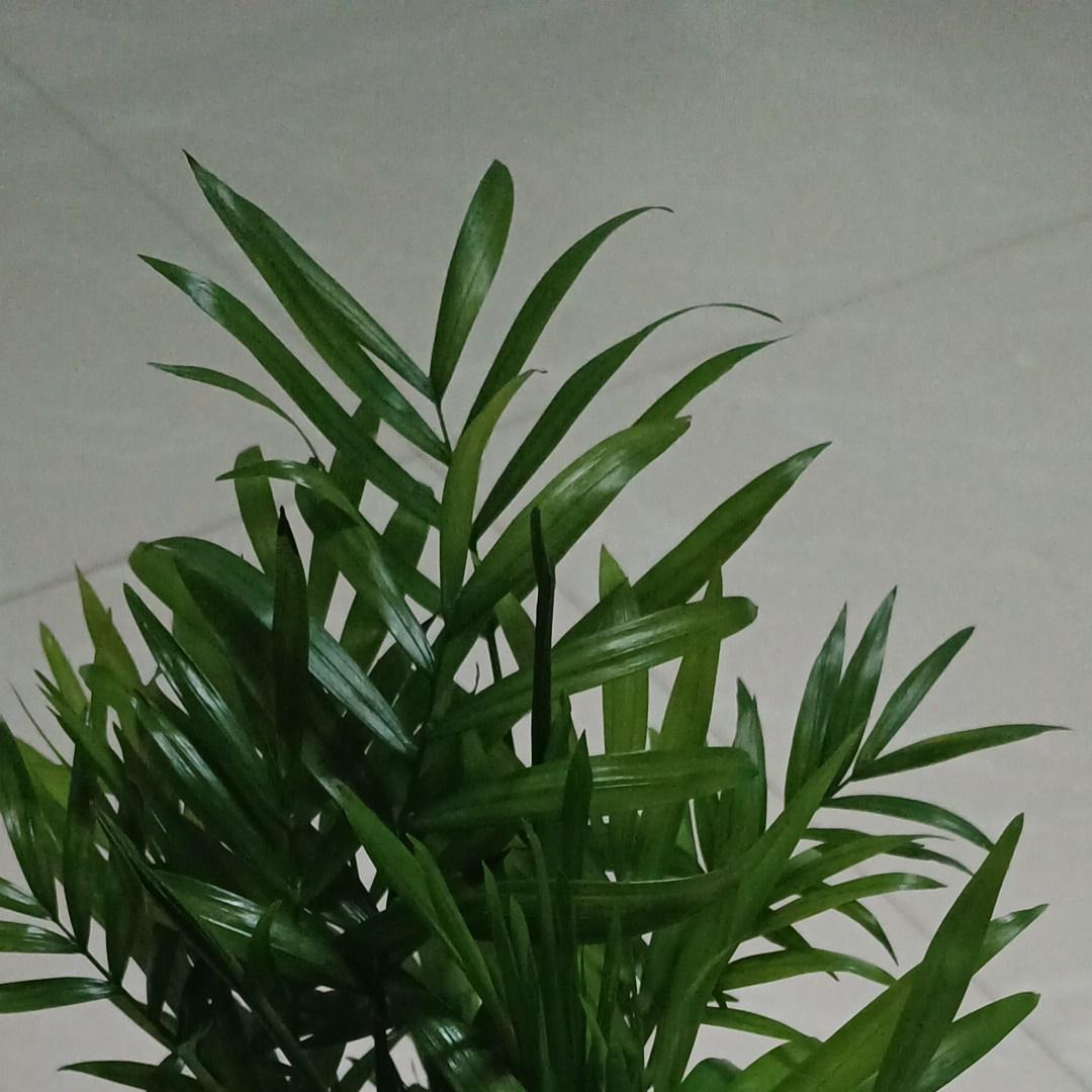 田彩娟目闻视光