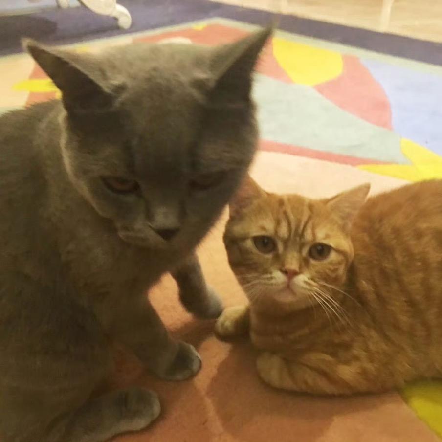 溜溜饼oo（12.18🎂）