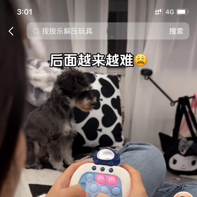 包谷米