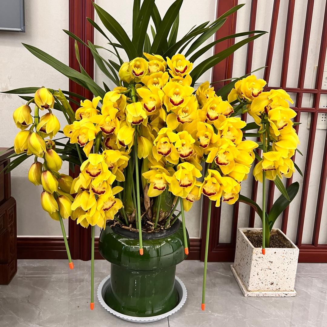 和庭旅馆官方号