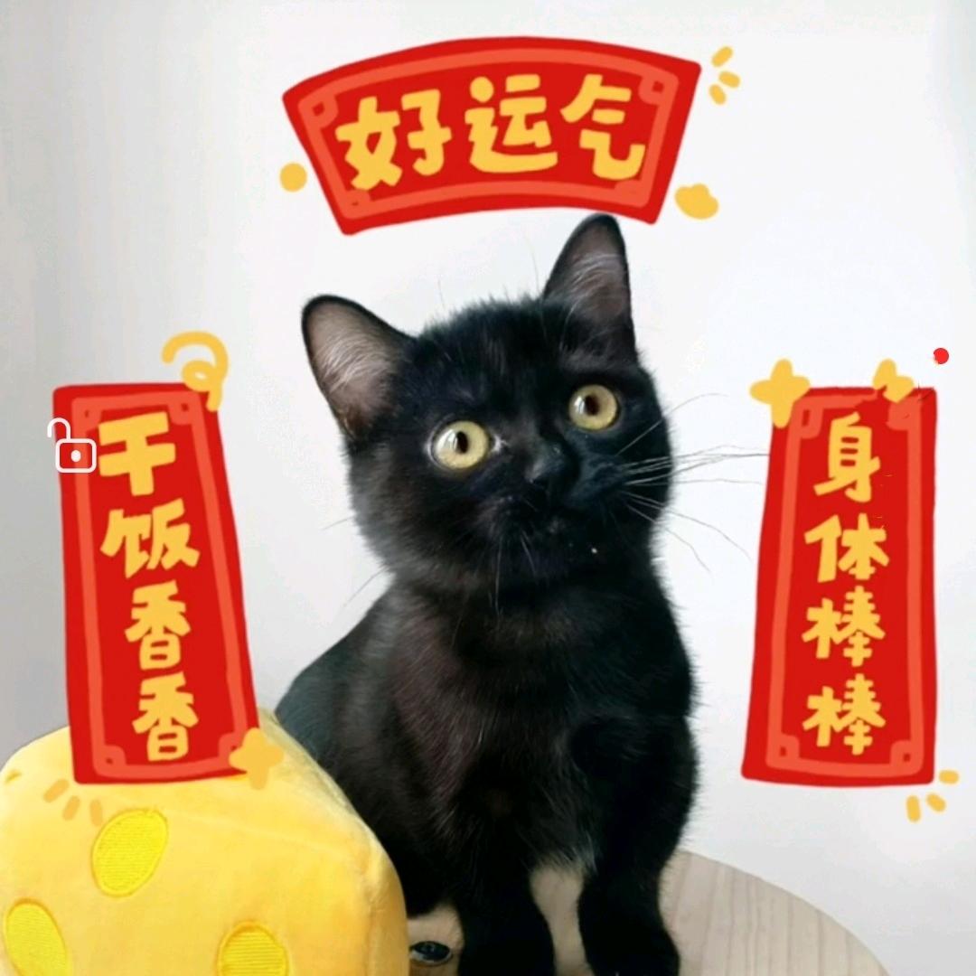 🌈全家健康平安