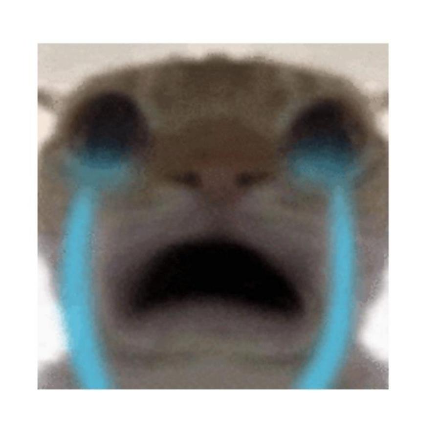 光明高中蔺老师