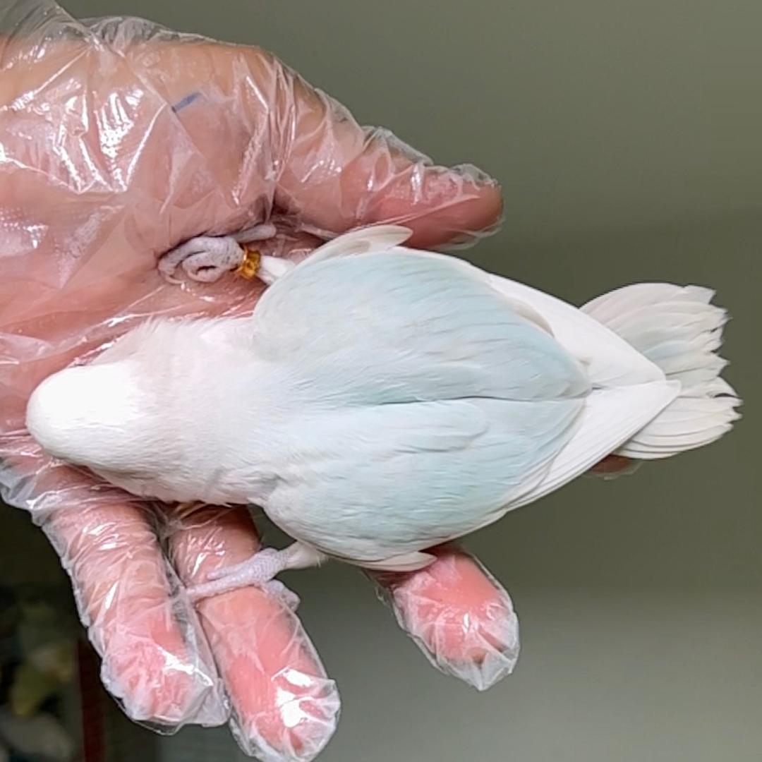 和物智品