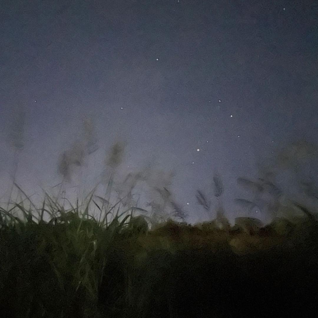 彩虹None头像