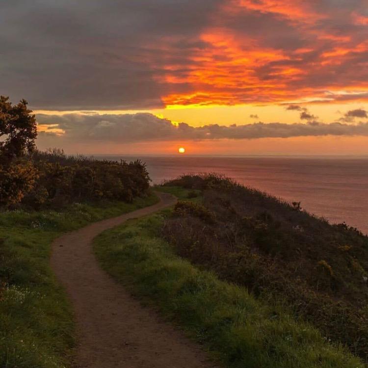 胡杨林旁的筷子