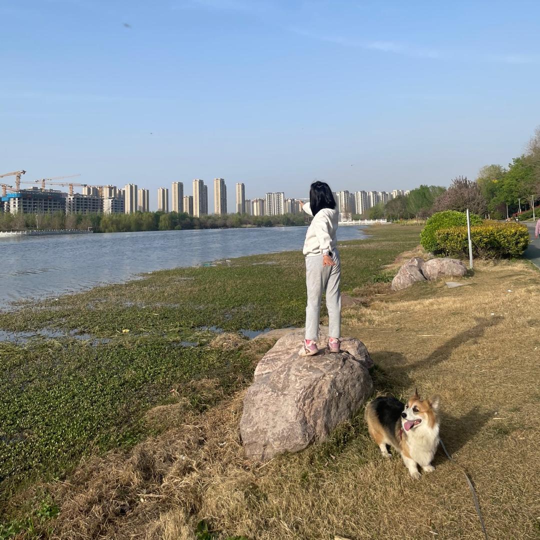 捷捷爱看剧