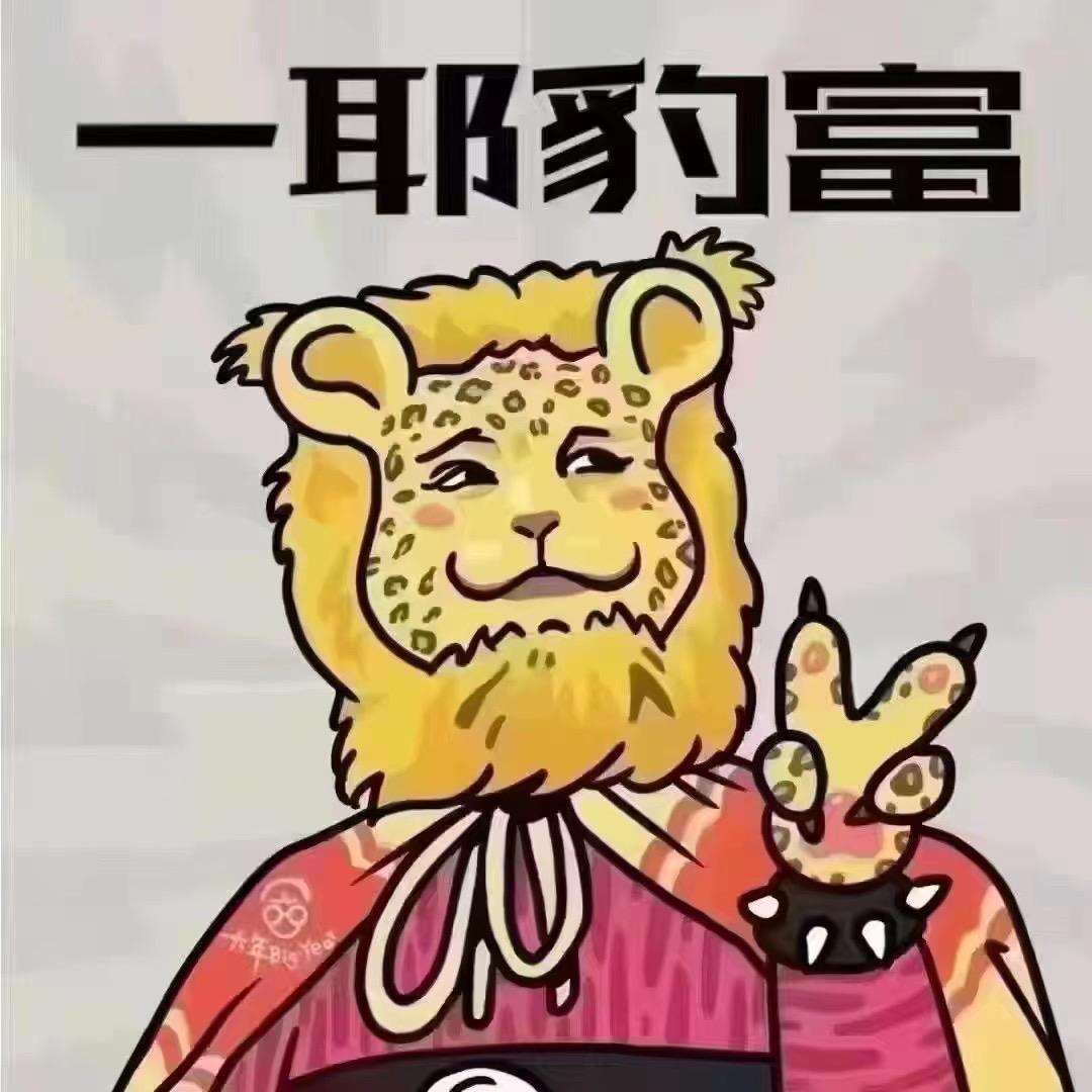 胖小小旅游口袋攻略