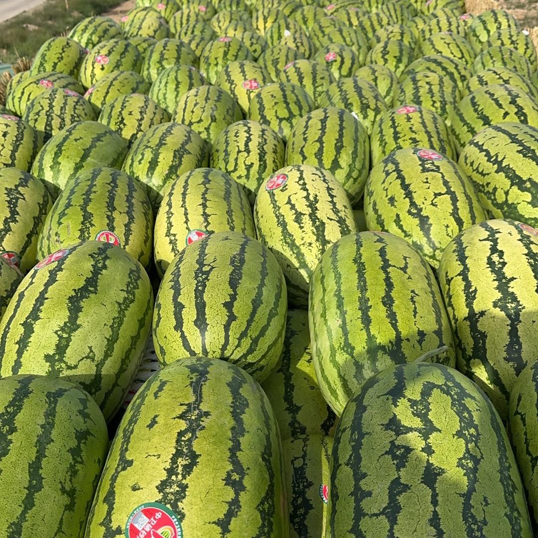 宁夏硒砂瓜产地代办代发