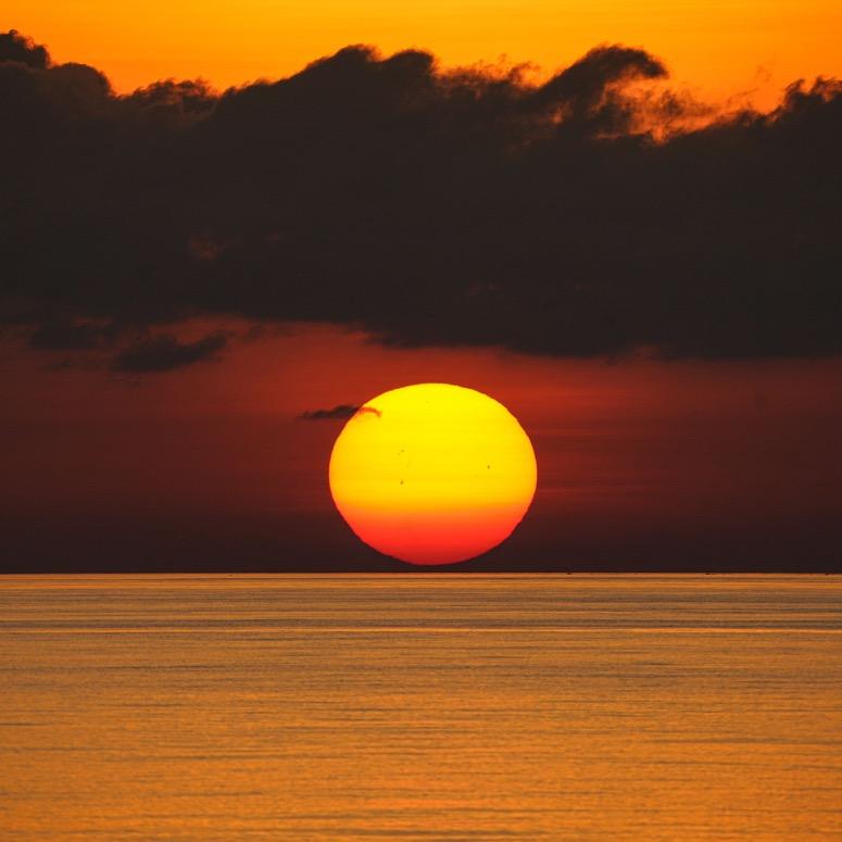 康健之直播554号