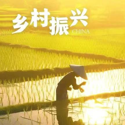 乘风破浪队（助农版）