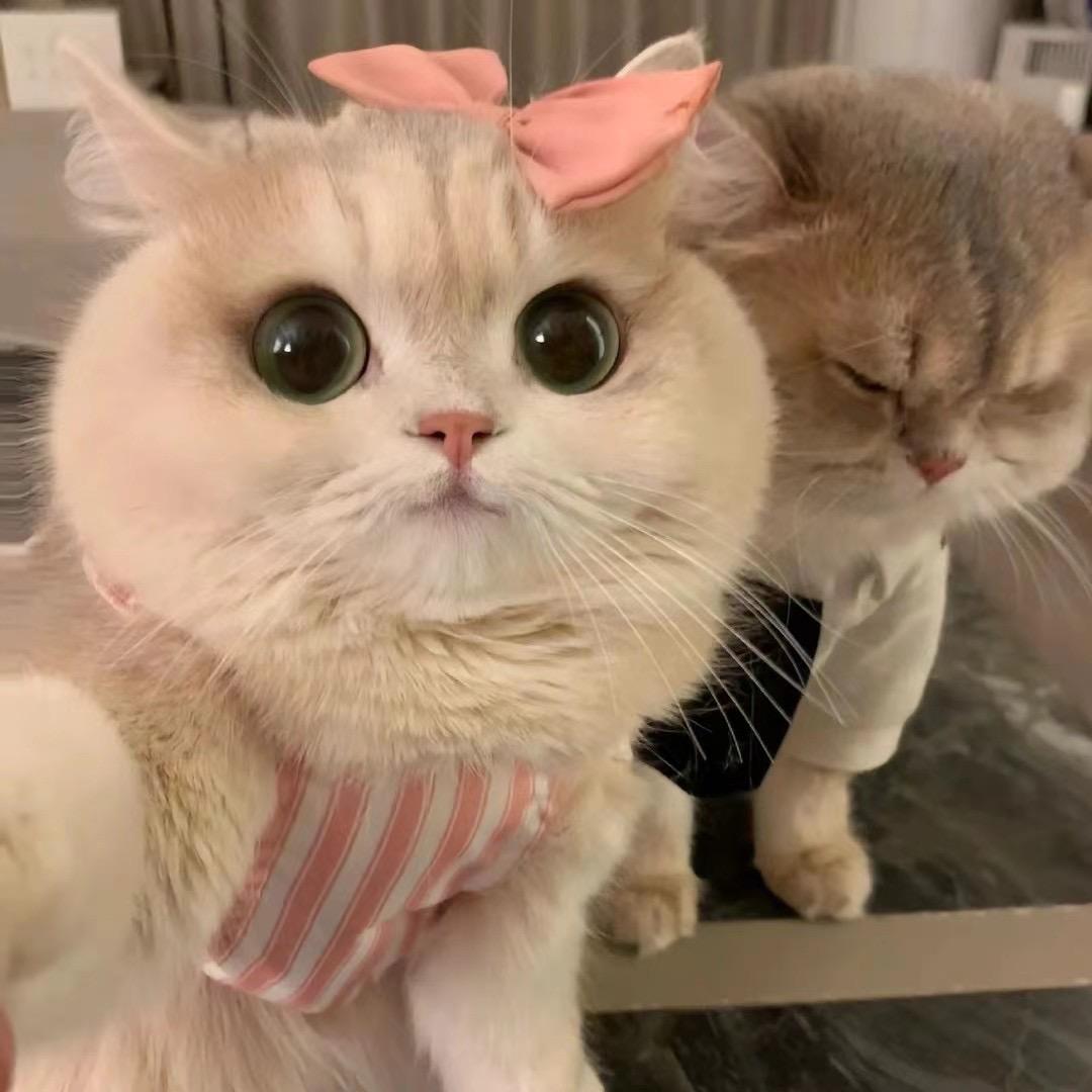 陈大锤黄金加工专用号