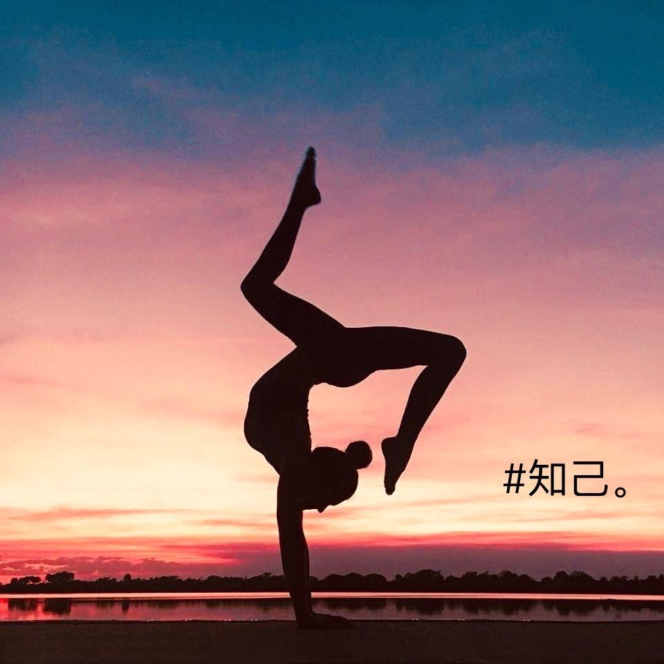 知己。