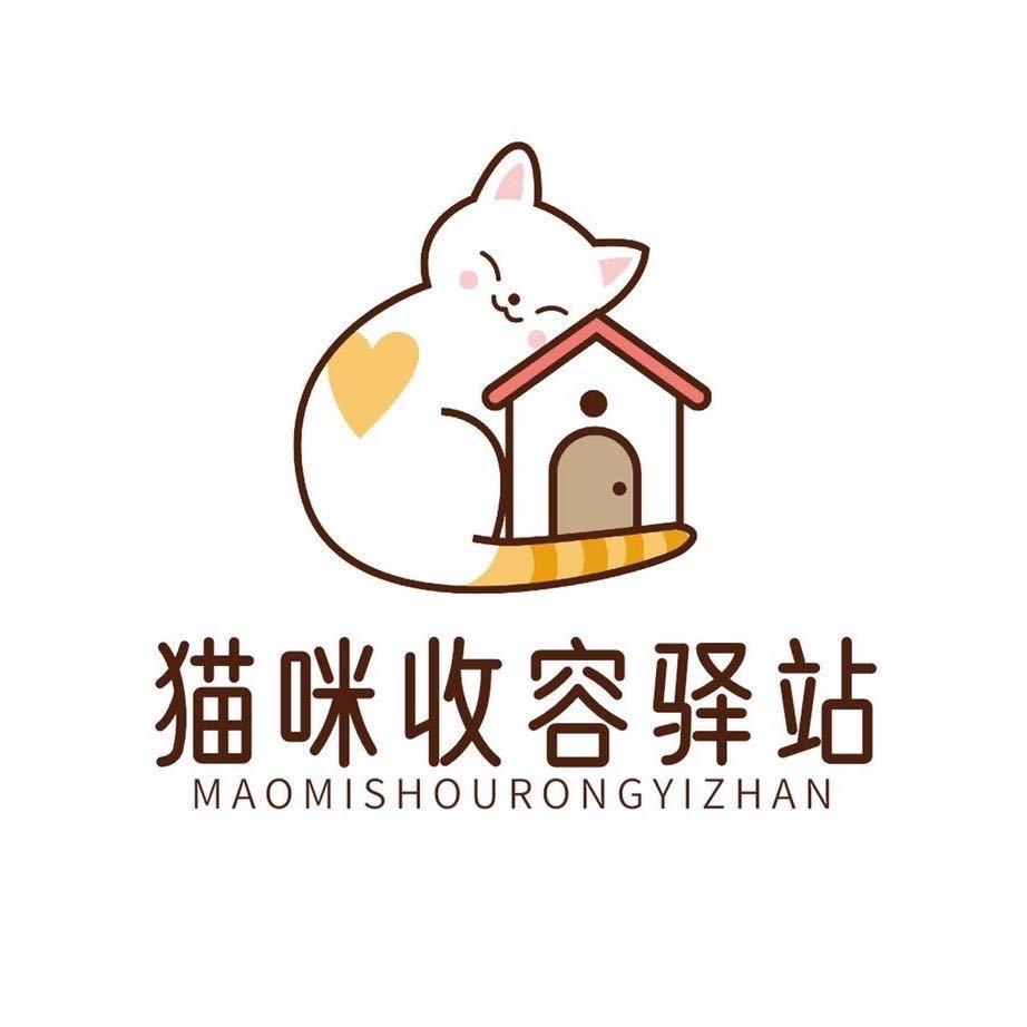 深圳猫咪收容所