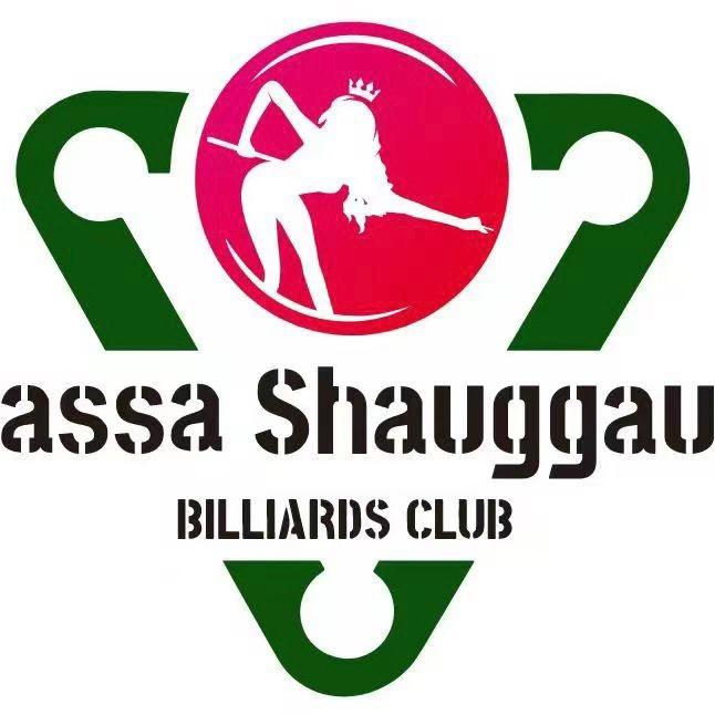 莎莎尚冠桌球河西店🎱