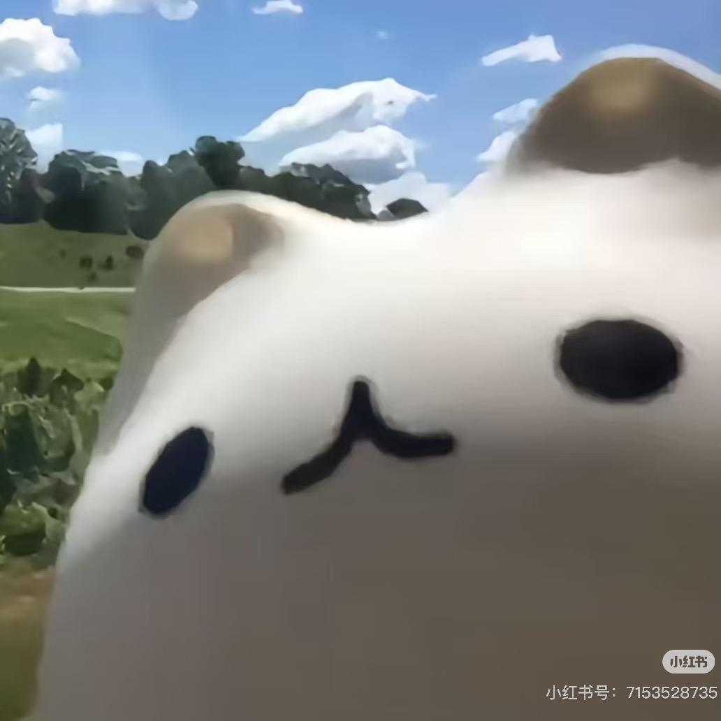 南无饿米豆腐