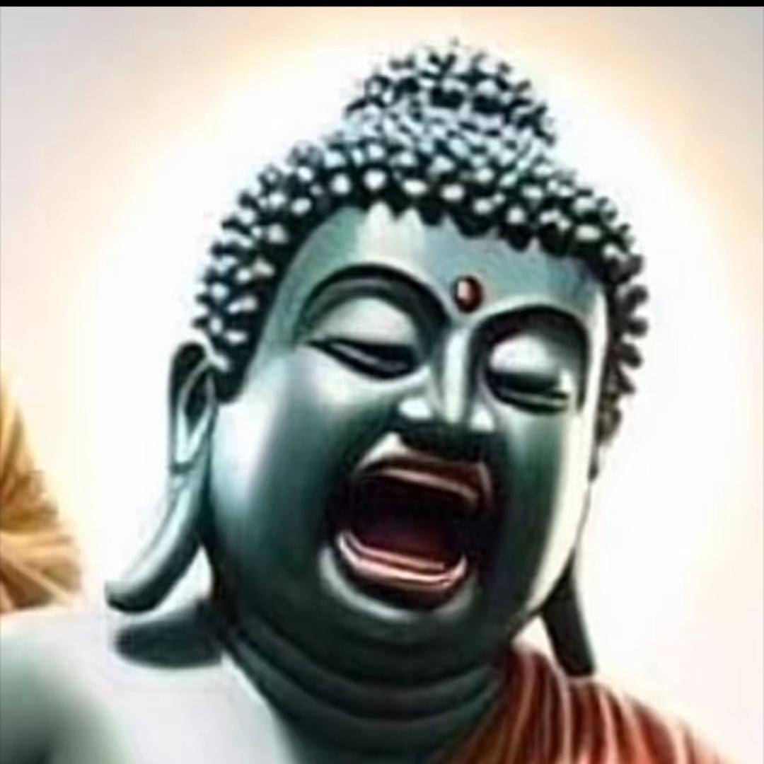 佛祖加特林（灣補🥚看主頁)