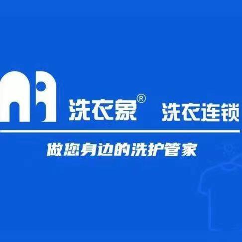 洗衣象洗护直播间