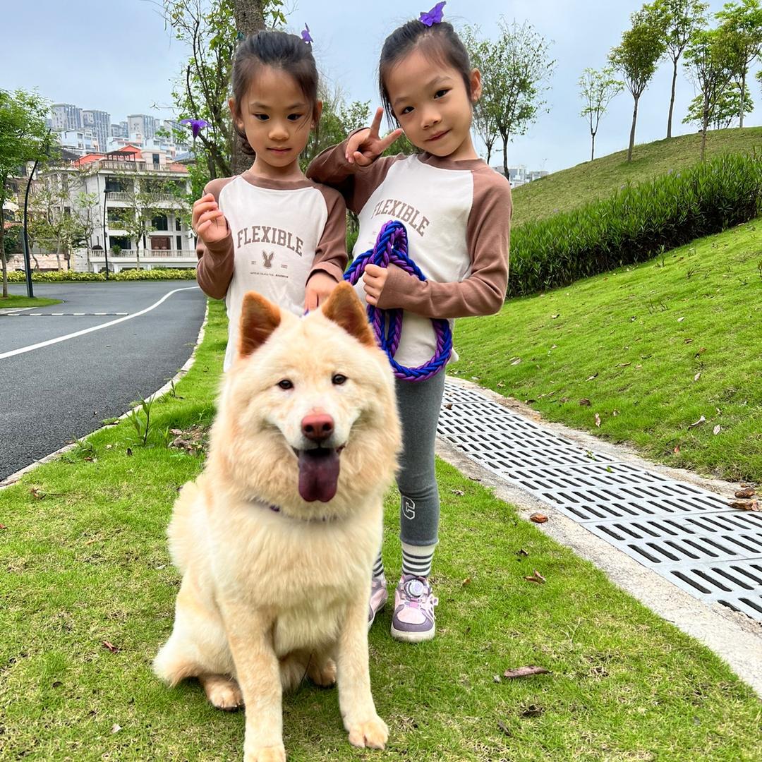 林家土松田园犬小铺