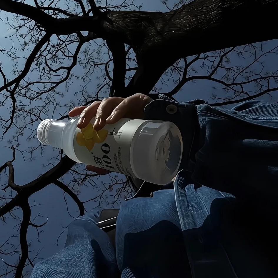 南风起随缘归(小杨在努力)