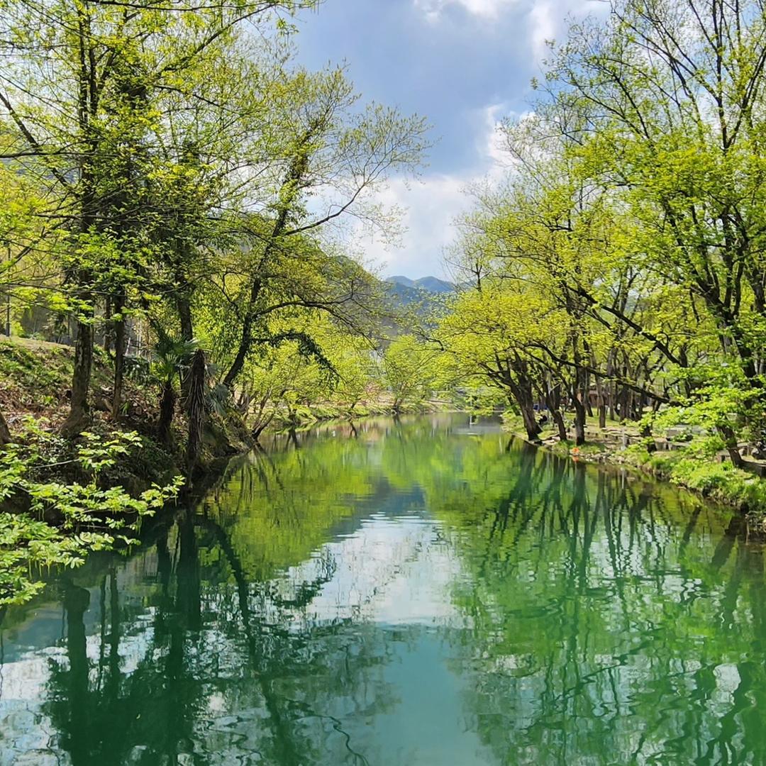 聊聊家有初中、高中生、大学生