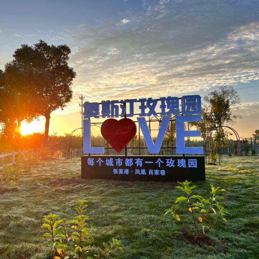 奥斯汀玫瑰园