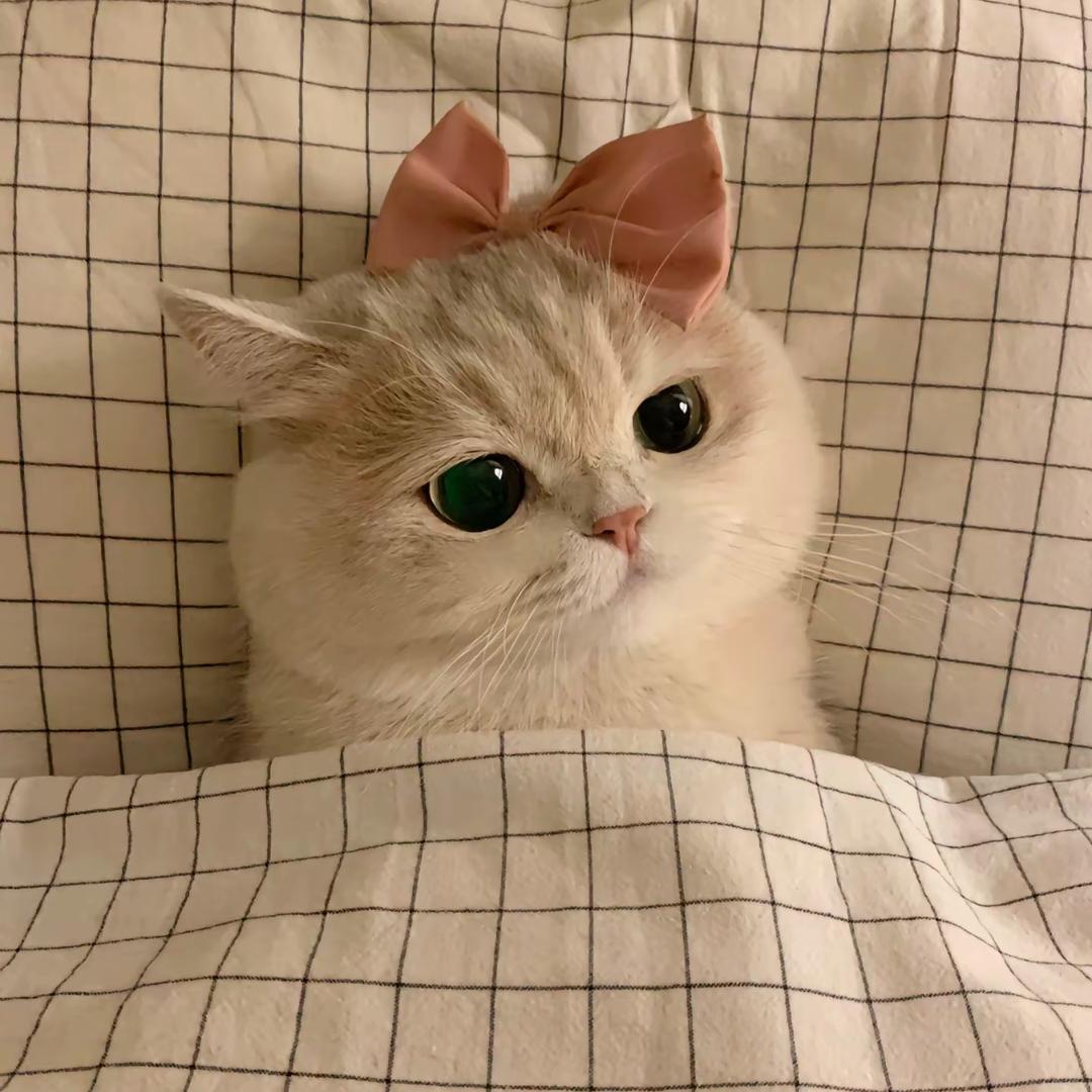 潘潘（三角洲）