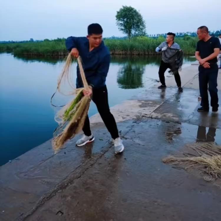 大贺爱撒网