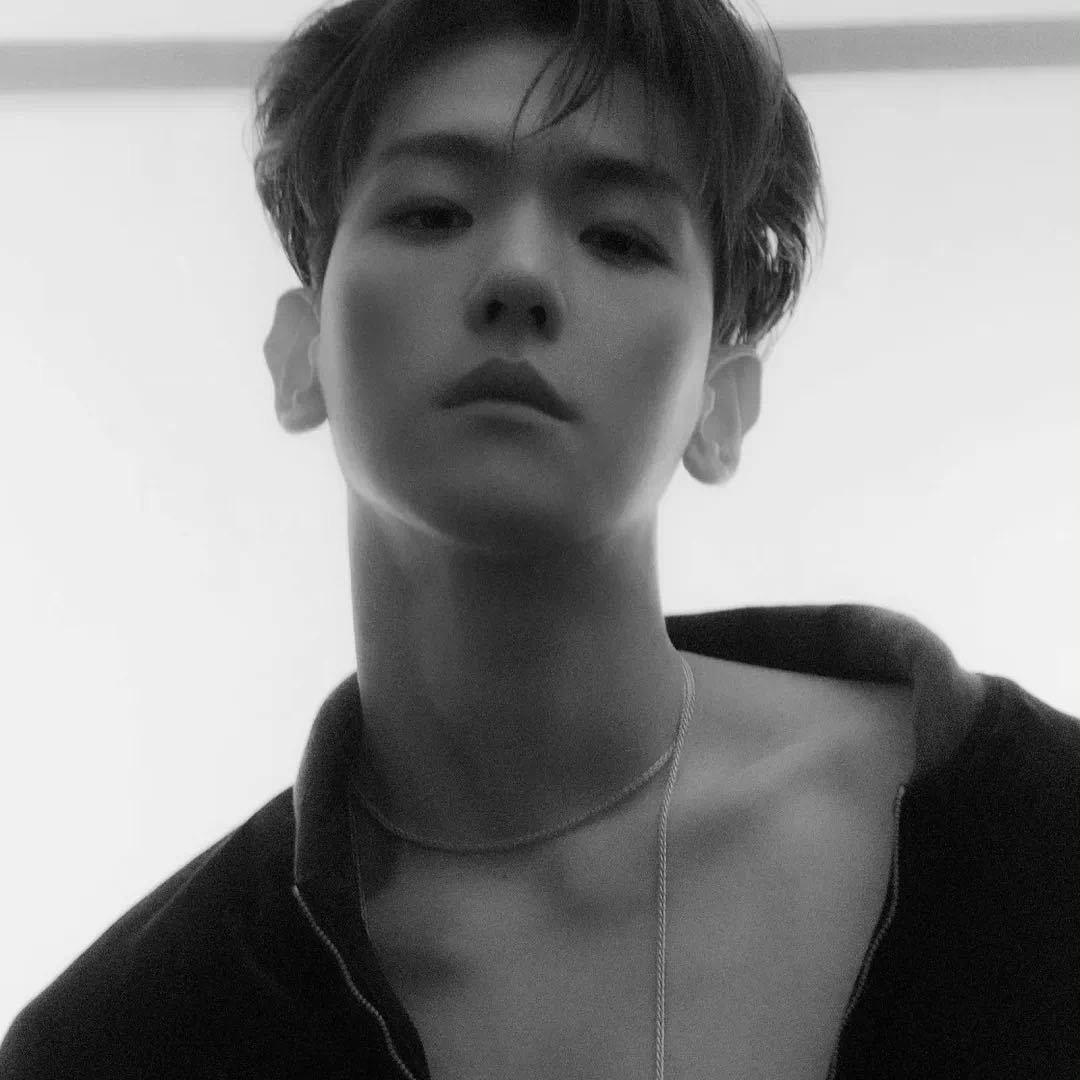 Green（无畏契约）