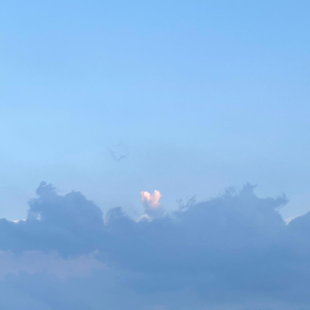 人间告白
